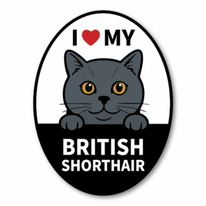 Radiant Sticker I LOVE MY 猫種ステッカー｜オーバル型デザイン｜耐水・耐候ビニール｜車・タブレット・スーツケースに ブリティッシュショートヘア