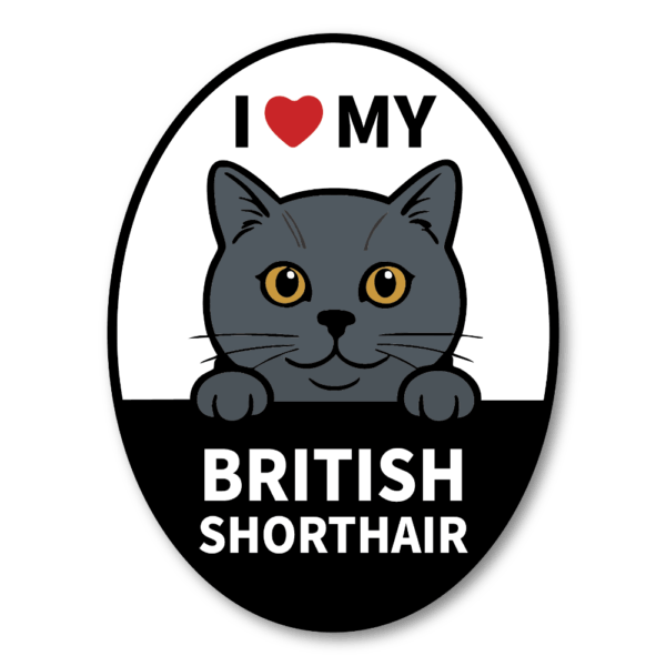 Radiant Sticker I LOVE MY 猫種ステッカー｜オーバル型デザイン｜耐水・耐候ビニール｜車・タブレット・スーツケースに ブリティッシュショートヘア
