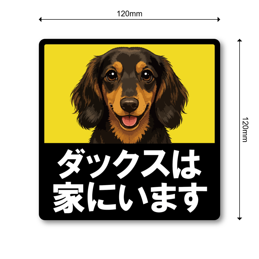 犬がいます ステッカー 120mm 正方形 車用サイン ドッグインカー ペット乗車中 安全運転 防水 UVラミネート ダックスフンド - 画像 (3)