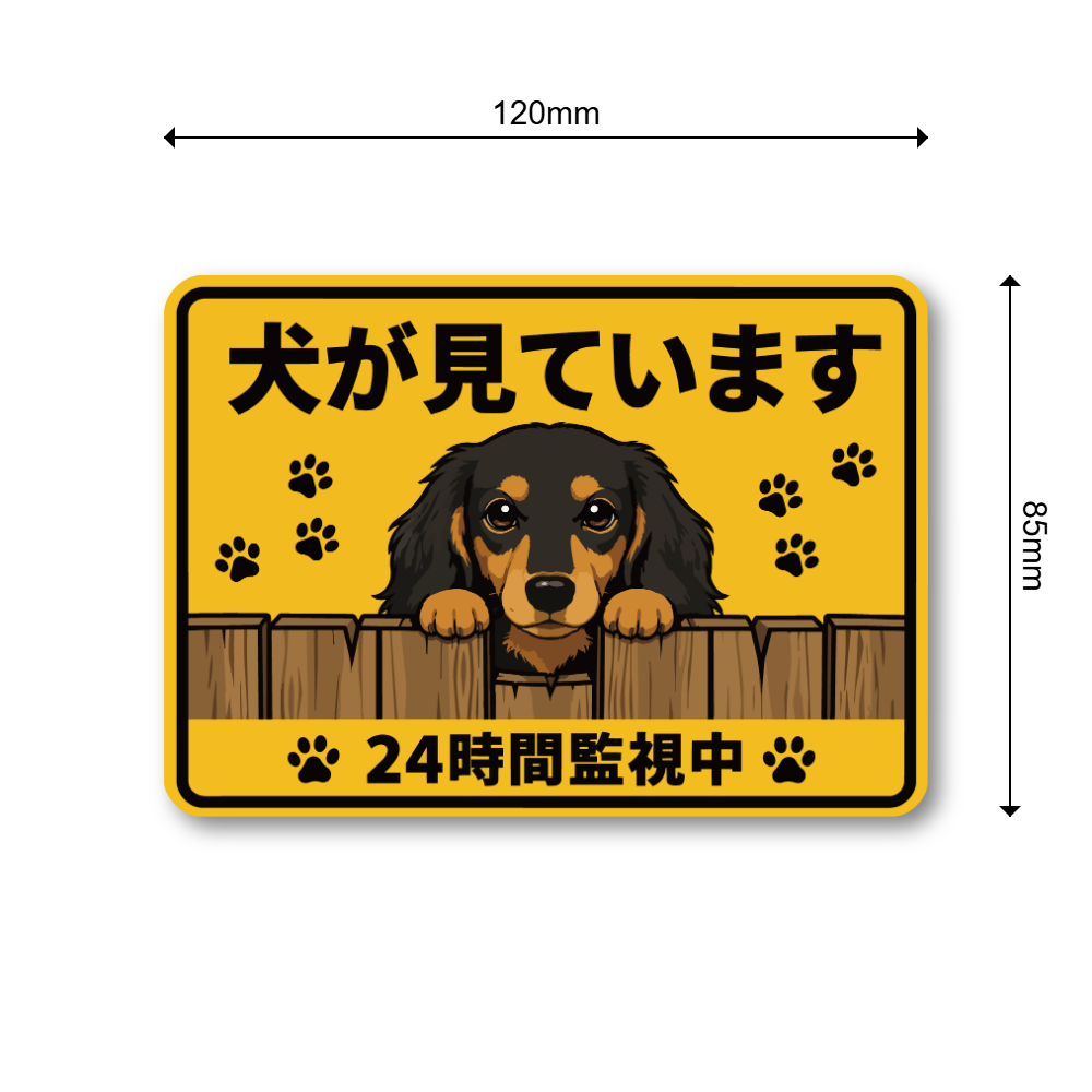 犬が見ています ステッカー 120mm 24時間監視中 防犯サイン 玄関サイン 犬好き向け 屋外対応 防水 UVラミネート ミニチュアダックス - 画像 (3)