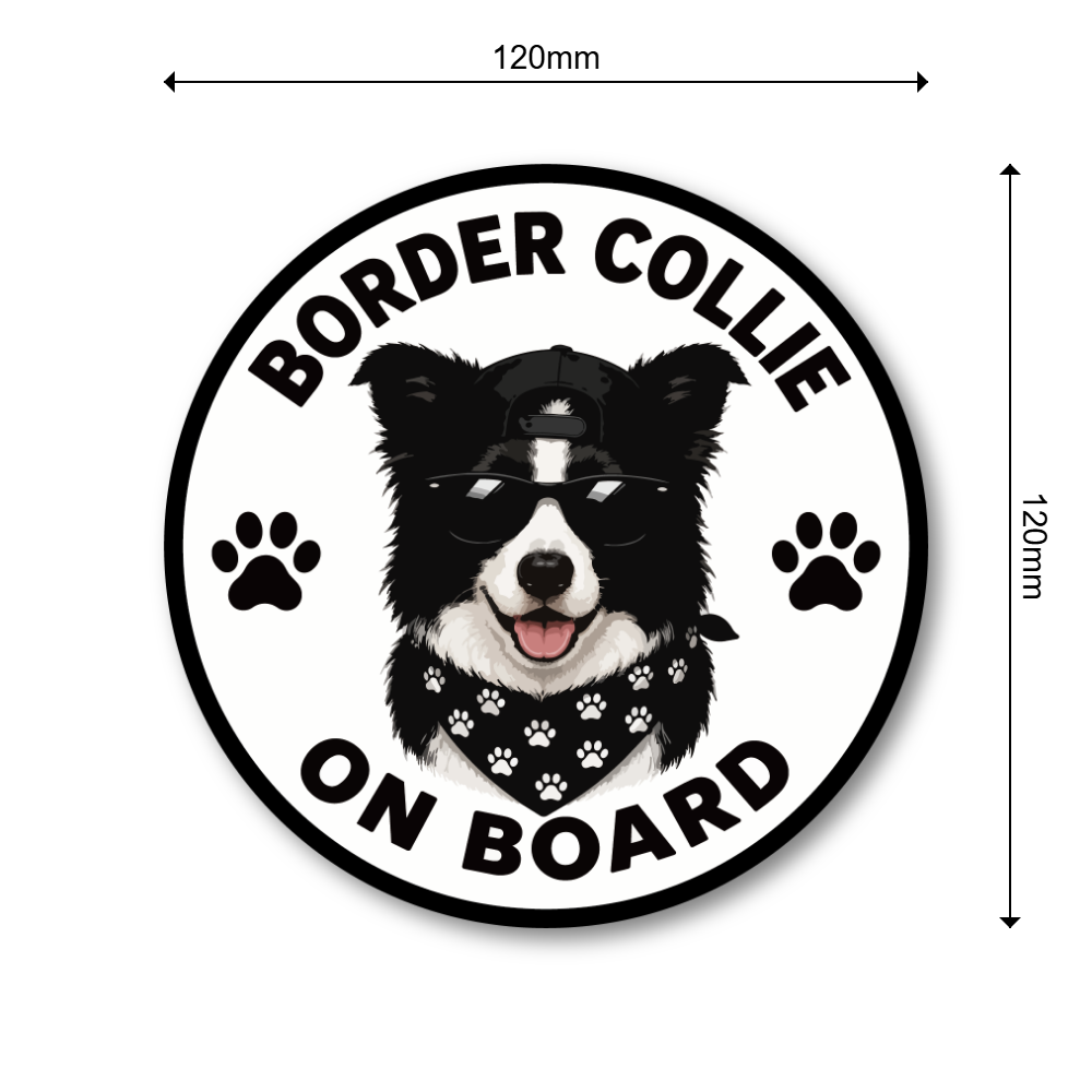 DOG ON BOARD ステッカー 犬が乗っています 犬種別 おしゃれ かわいい 車用ステッカー 防水・耐候 丸型 120mm Border Collie - 画像 (3)