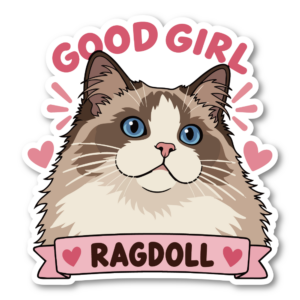 GOOD GIRL 猫 ステッカー かわいい 猫種別 防水 ペット Ragdoll